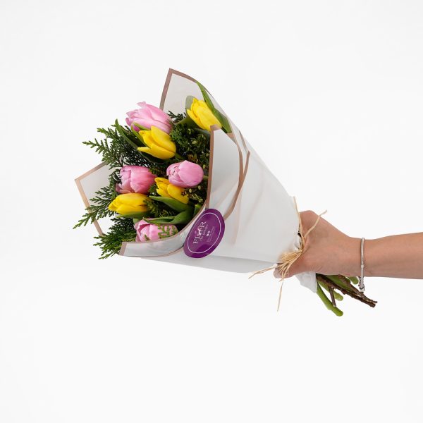 Tulipanes Bicolor - Imagen 2