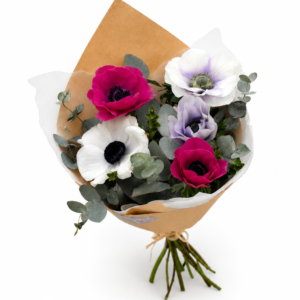 Cucurucho de Anemonas